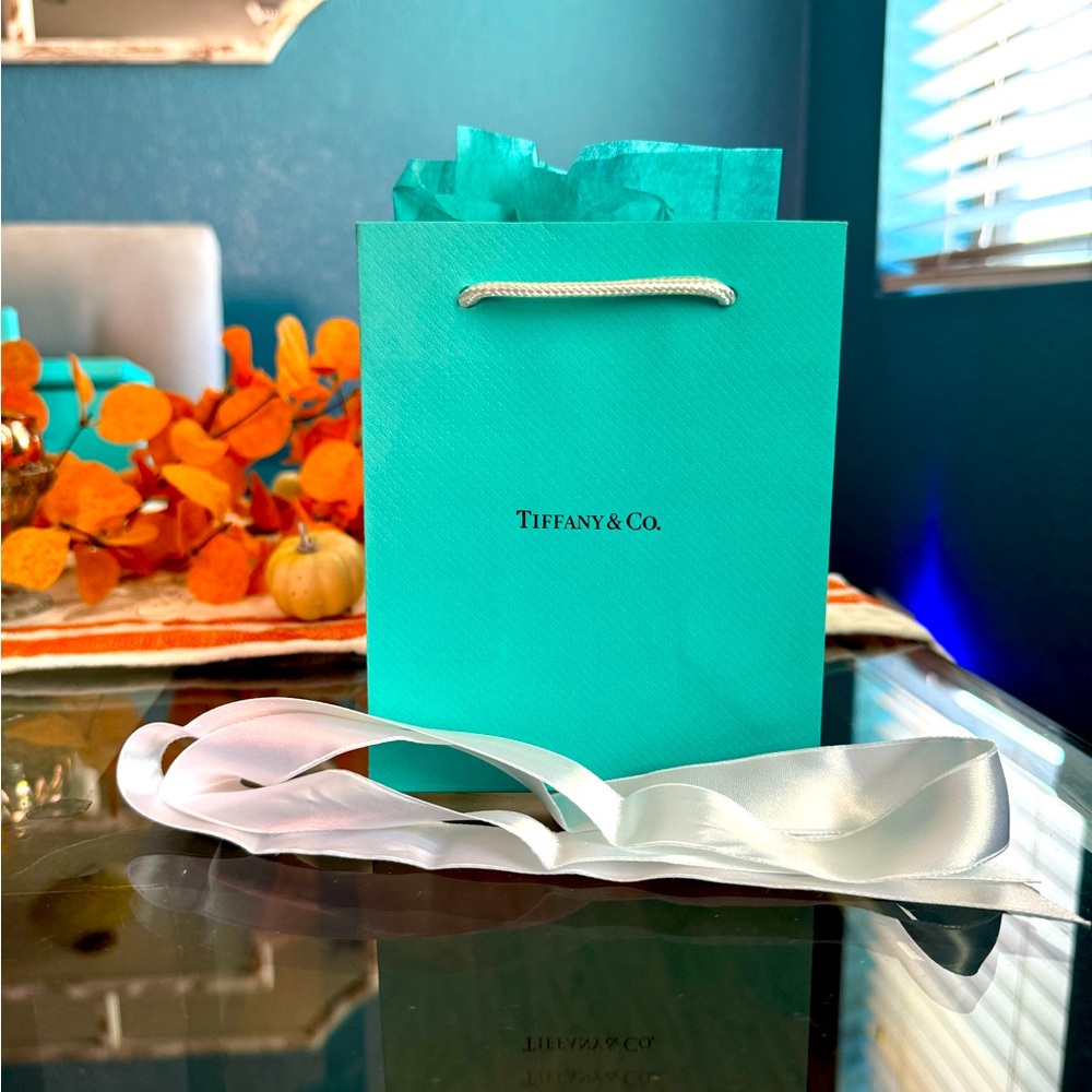 Gift bag, tissue, and bow